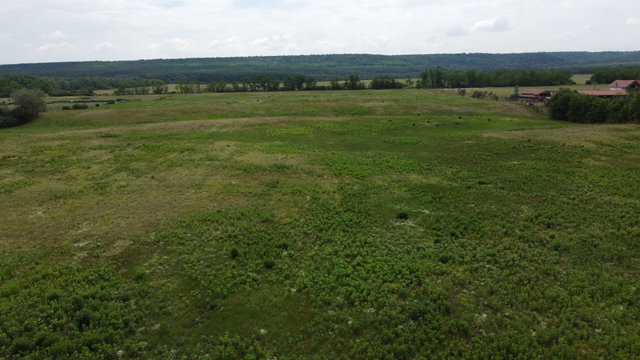 Eladó mezogazdasagi ingatlan, Isaszegen 79.9 M Ft