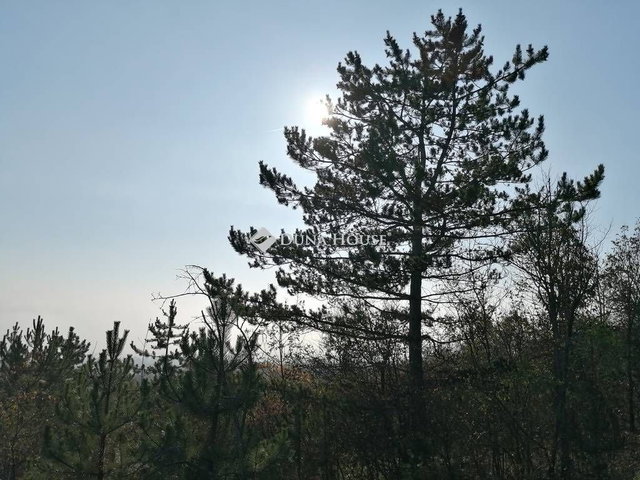 Eladó telek, Zsámbékon 6.8 M Ft / költözzbe.hu
