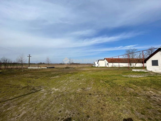 Eladó mezogazdasagi ingatlan, Szankon 65 M Ft, 1 szobás
