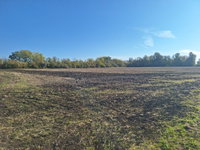 Eladó mezogazdasagi ingatlan, Hódmezővásárhelyen 5.9 M Ft