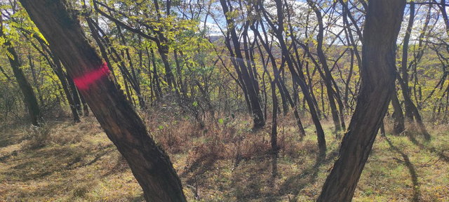 Eladó mezogazdasagi ingatlan, Szilaspogonyon 12.8 M Ft
