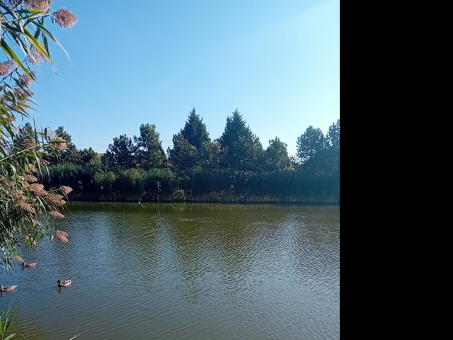 Eladó nyaraló, Gyomaendrődön, Hantoskerti úton 65 M Ft