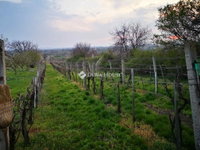 Eladó mezogazdasagi ingatlan, Berhidán 10 M Ft