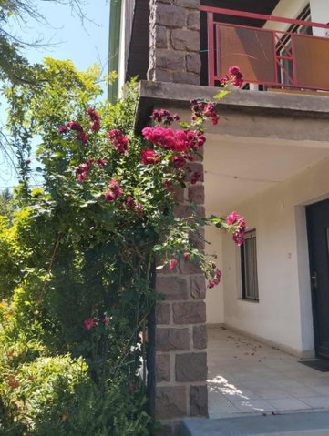 Eladó családi ház, Parádon 38 M Ft, 4 szobás