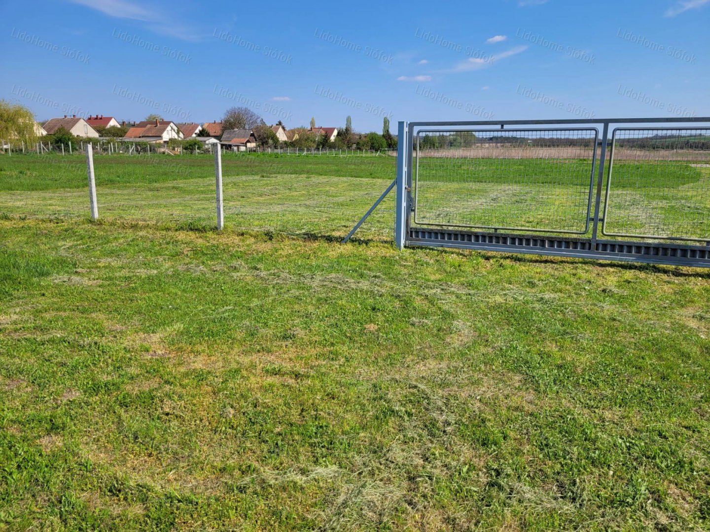 9994 m² · 79.000.000 Ft