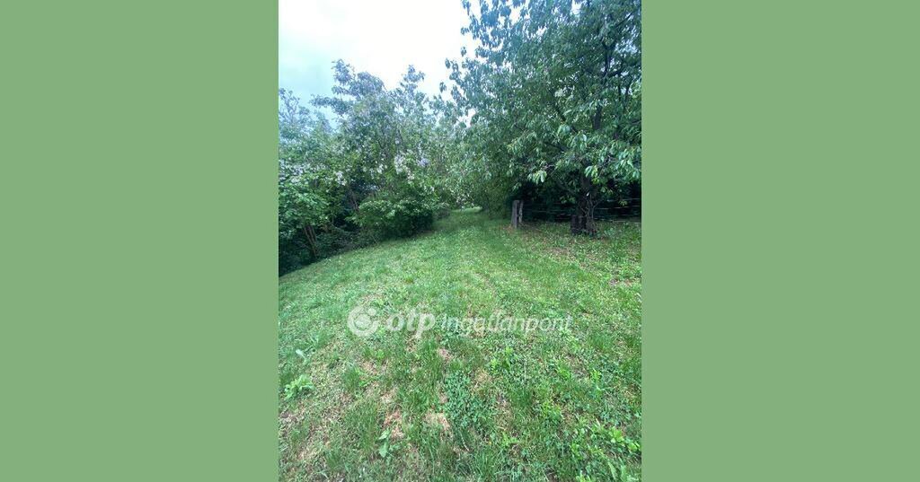2317m² · 2.999.000 ft