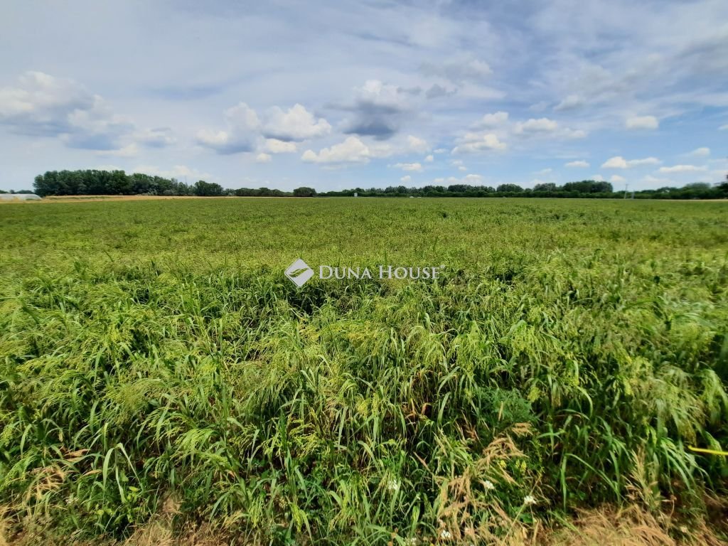 2 bed · 85m² · 88.000.000 ft
