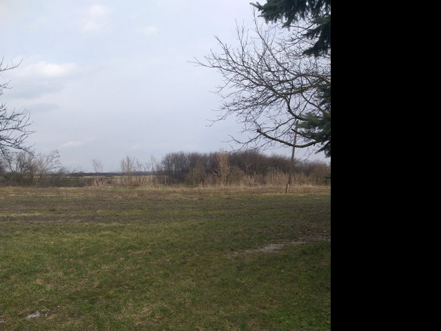 Eladó telek, Miskolcon, Babits Mihály utcában 42 M Ft
