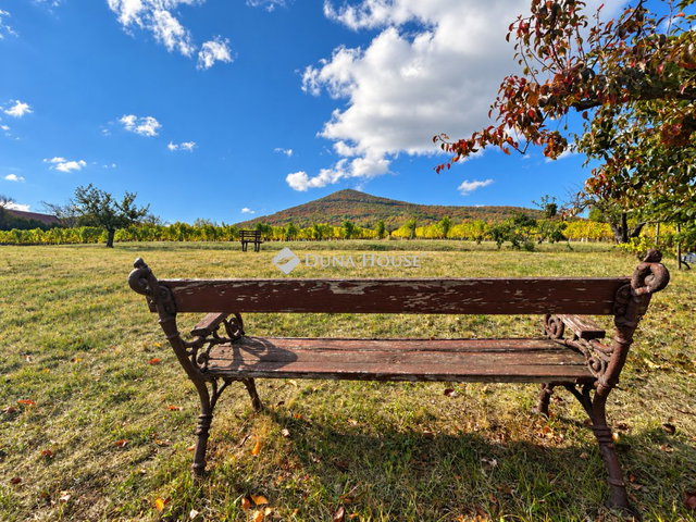 Eladó családi ház, Sátoraljaújhelyen 199 M Ft, 1 szobás