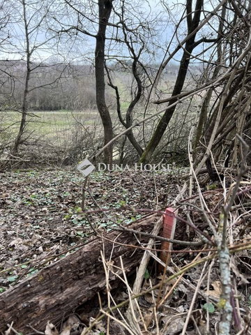 Eladó mezogazdasagi ingatlan, Szentkirályszabadján 5 M Ft
