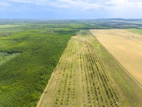 Eladó mezogazdasagi ingatlan, Sződön 109.9 M Ft