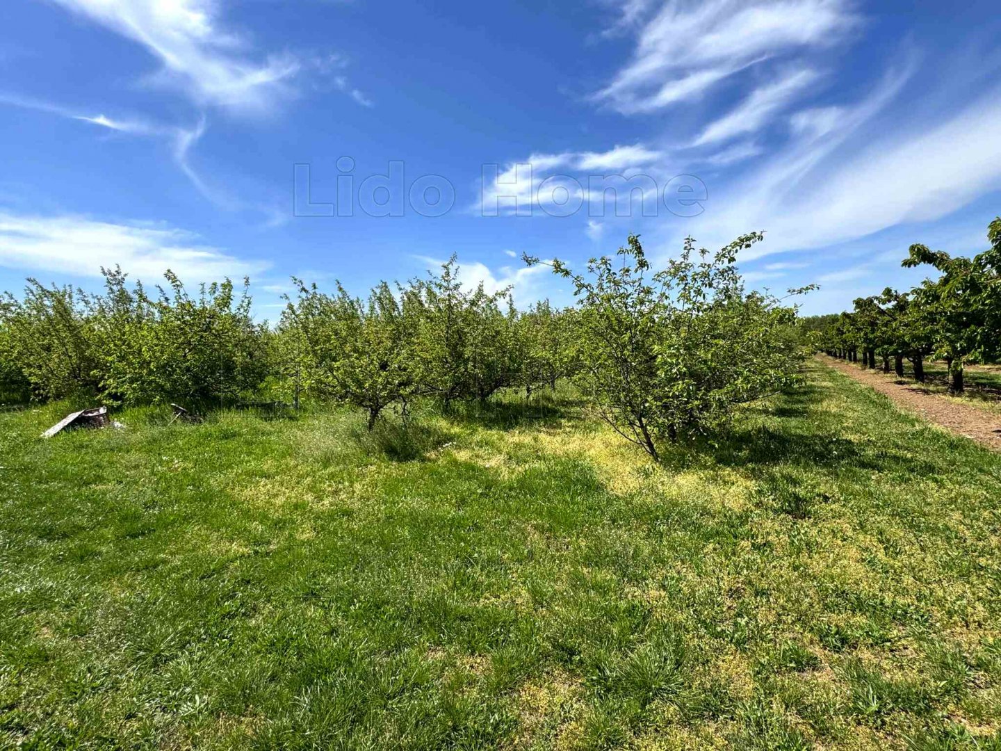 6061m² · 18.000.000 ft