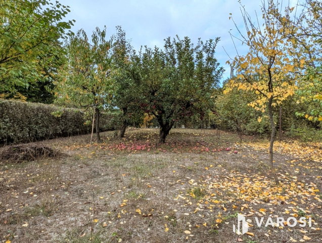 Eladó mezogazdasagi ingatlan, Békéscsabán 6.75 M Ft