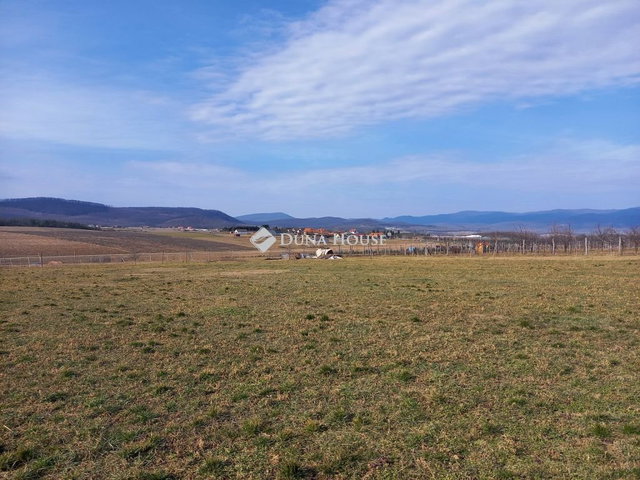 Eladó telek, Berkenyén 10 M Ft / költözzbe.hu