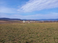 Eladó telek, Berkenyén 10 M Ft / költözzbe.hu
