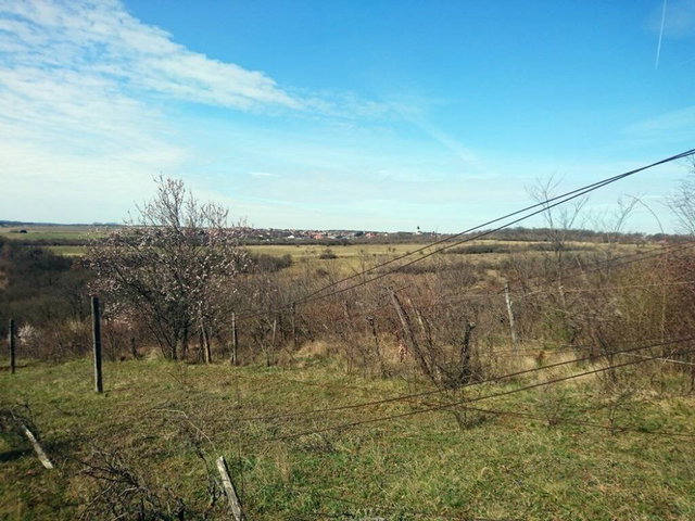 Eladó mezogazdasagi ingatlan, Balatonalmádiban 5.9 M Ft