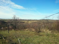 Eladó mezogazdasagi ingatlan, Balatonalmádiban 5.9 M Ft