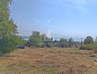 Eladó mezogazdasagi ingatlan, Balatonalmádiban 69 M Ft