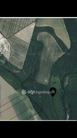 Eladó mezogazdasagi ingatlan, Galgagyörkön 46.5 M Ft