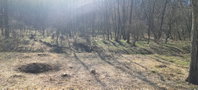 Eladó telek, Zalakaroson 5.9 M Ft / költözzbe.hu