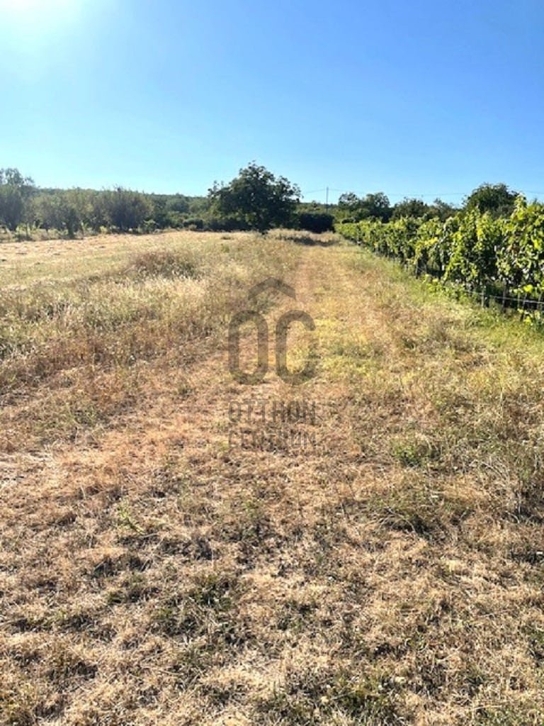 1593m² · 11.330.000 ft
