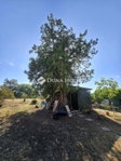 Eladó családi ház, Őrbottyánban 98.5 M Ft, 4 szobás