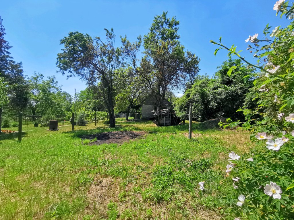 960 m² · 36.000.000 Ft