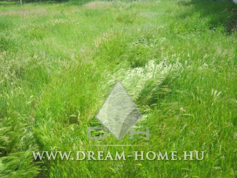 Telek · 2570 m² · 15.800.000 Ft