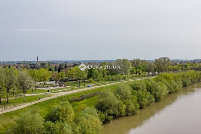 Eladó családi ház, Tiszakécskén 120 M Ft, 1 szobás