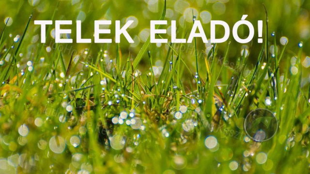 Eladó mezogazdasagi ingatlan, Zalacsányon 2 M Ft