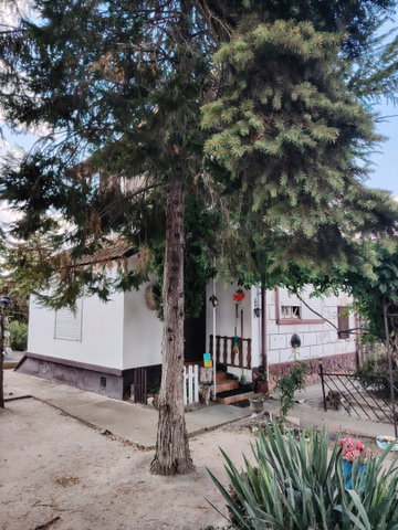 Eladó családi ház, Szegeden 43.9 M Ft, 2 szobás