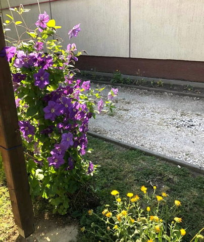 Eladó családi ház, Törökszentmiklóson 28.9 M Ft, 2 szobás