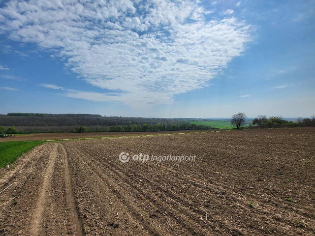 Eladó családi ház, Tengődön 25 M Ft, 4 szobás