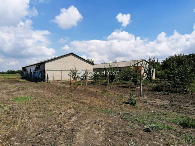 Eladó telek, Hartán 39.9 M Ft / költözzbe.hu