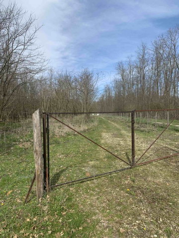 Eladó mezogazdasagi ingatlan, Tényőn 57 M Ft