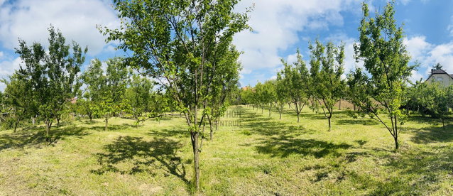 Eladó telek, Kötcsén 18.5 M Ft / költözzbe.hu