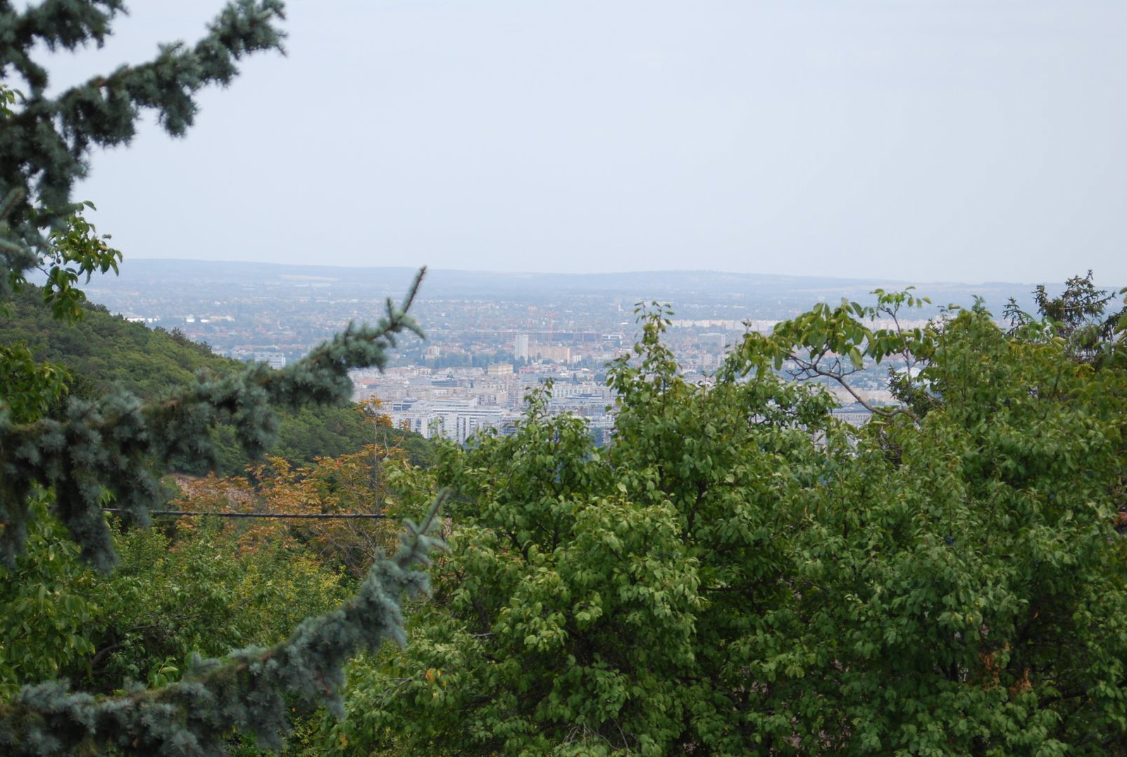 1548m² · 630.000.000 ft