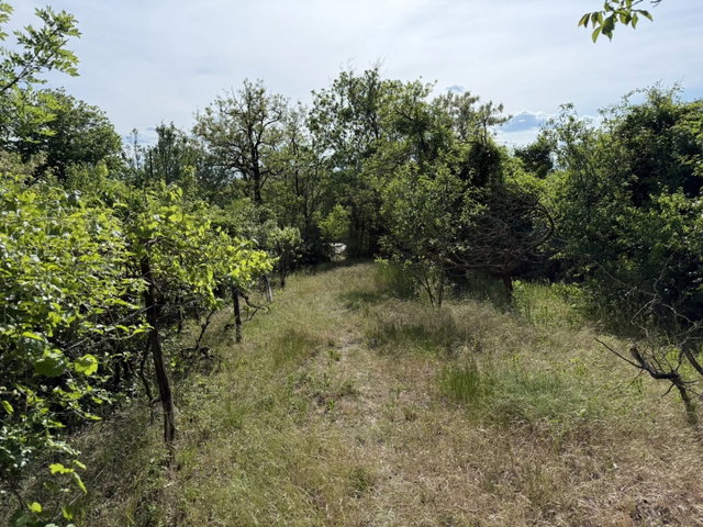 Eladó telek, Biatorbágyon 17 M Ft / költözzbe.hu