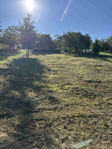 Eladó telek, Csókakőn 12.5 M Ft, 3 szobás / költözzbe.hu