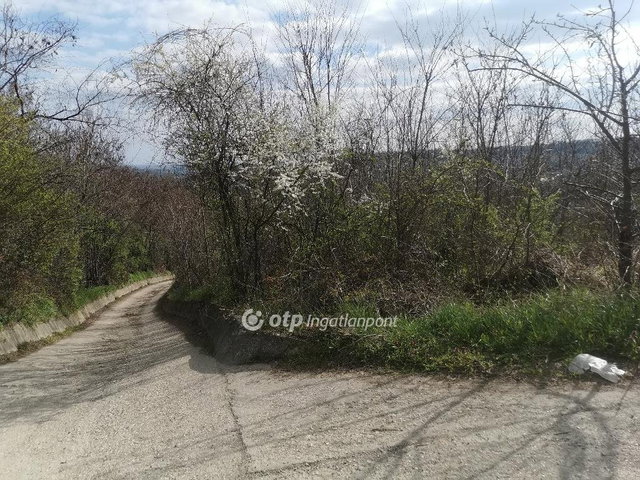 Eladó telek, Szekszárdon 6.5 M Ft / költözzbe.hu