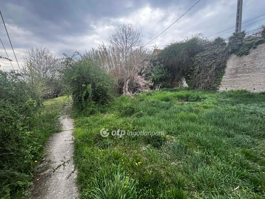 329m² · 6.500.000 ft