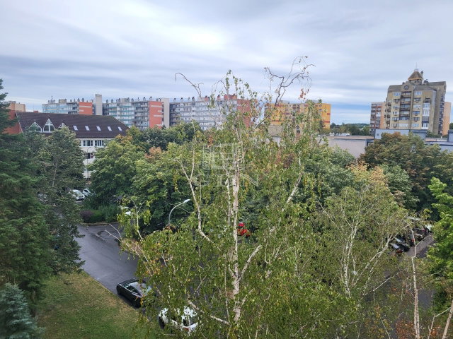 Eladó téglalakás, Szombathelyen 32.5 M Ft, 2 szobás