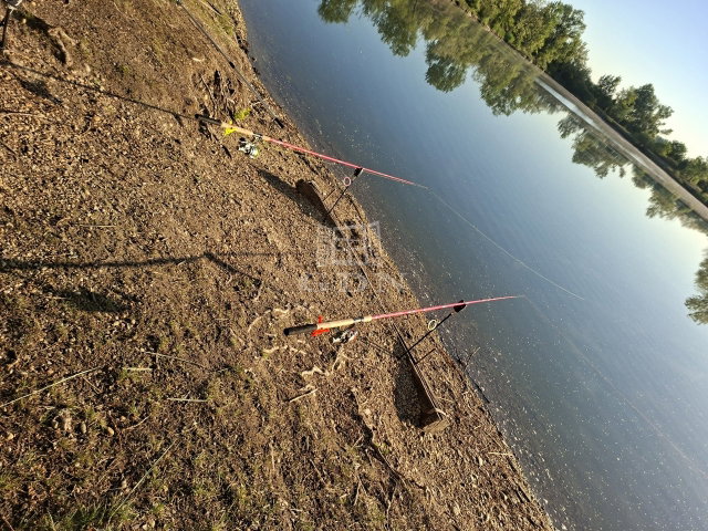 Eladó telek, Tiszakécskén 115 M Ft / költözzbe.hu