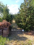 Eladó családi ház, Tárnokon 60 M Ft, 1+2 szobás