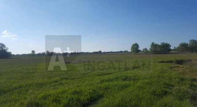 Eladó mezogazdasagi ingatlan, Bordányon 95 M Ft
