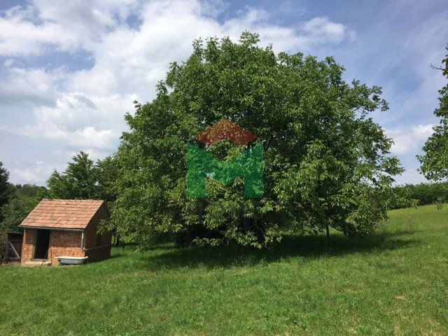 Eladó mezogazdasagi ingatlan, Marcaliban 9.8 M Ft