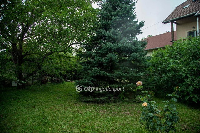 Eladó családi ház, Balatonkenesén 319 M Ft, 12 szobás
