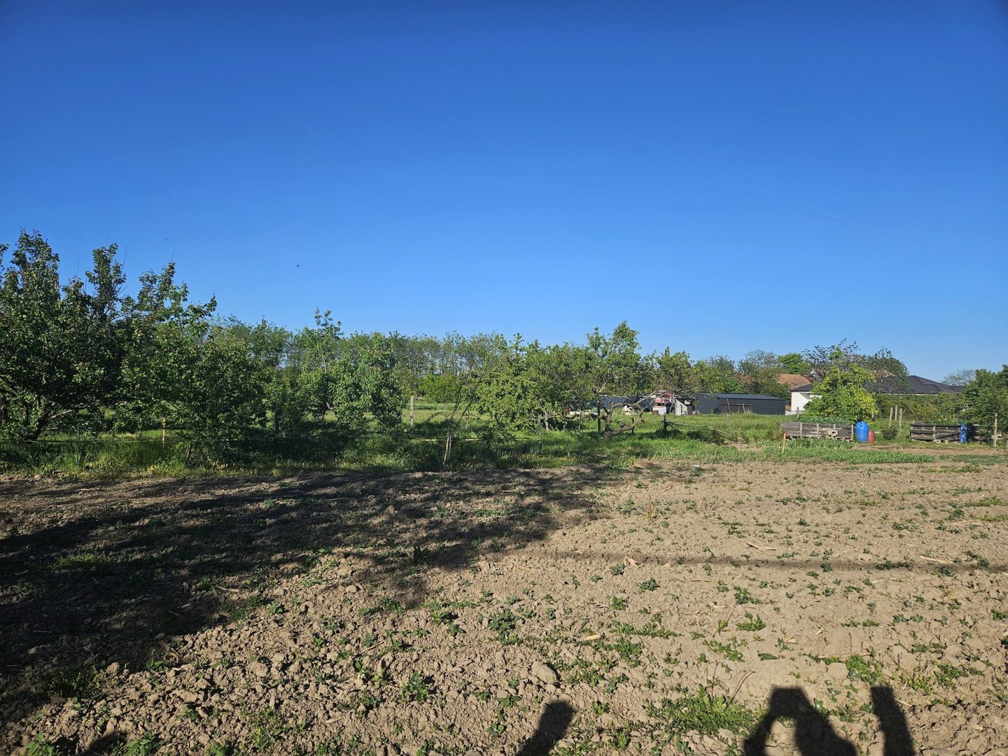 1623m² · 22.500.000 ft