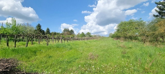 Eladó családi ház, Bicskén 19.99 M Ft, 2 szobás