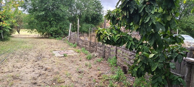 Eladó mezogazdasagi ingatlan, Balatonlelleén 3.99 M Ft